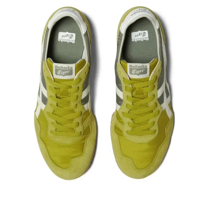 Serrano “Kelp Birch”